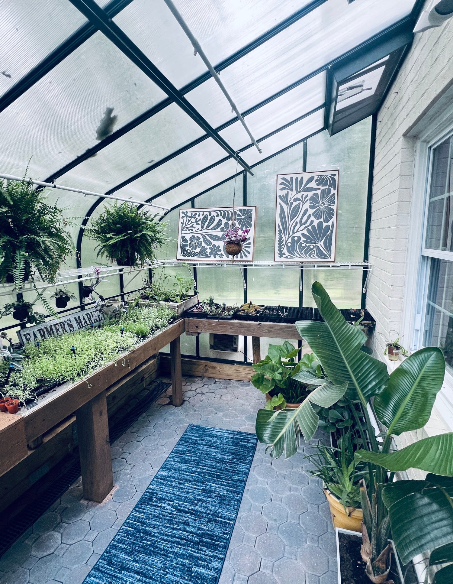 Greenhouse interior with plants and a desk