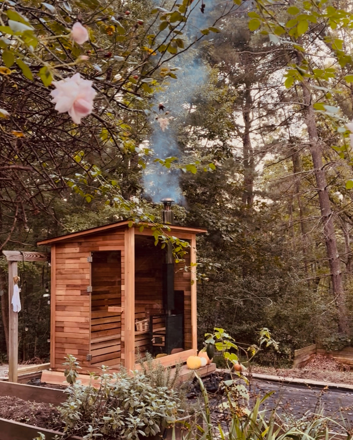 30-minute Sauna Session